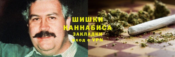 молекула духа Абинск
