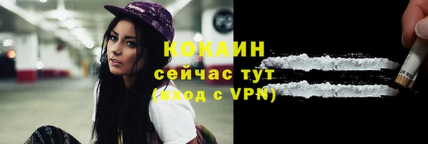 стафф Алексин